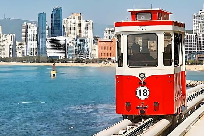 Authentic Busan Full-Day City Highlights Tour - Additional Inclusions & Practical Details