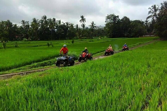 Bali ATV Ride tour Ubud - Who Should Consider This Tour?