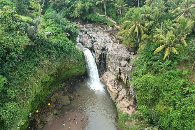 Bali Full-Day Tours : Waterfall and Ubud Destination Trip - What Makes This Tour Stand Out?