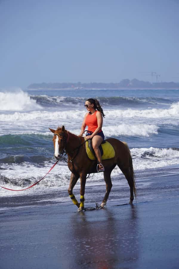 Bali: Horse Riding Sanur Beach Experience with Transport - The Experience with Well-Trained Horses and Guides