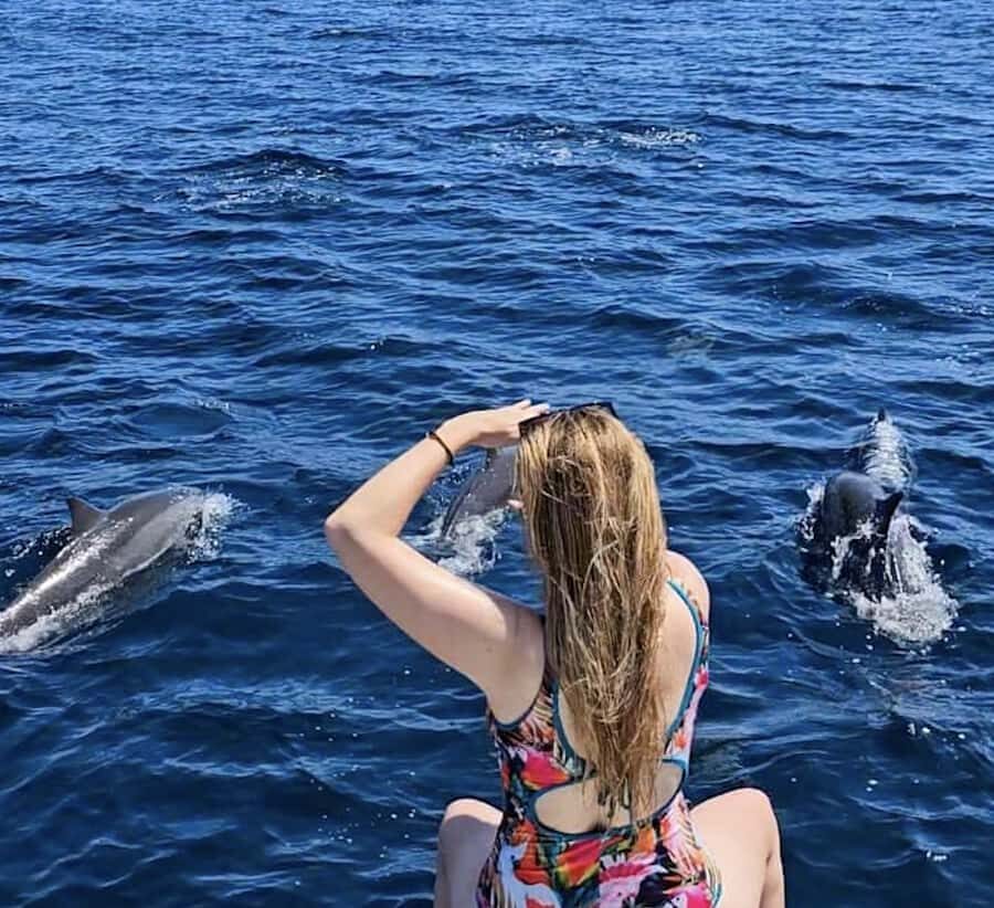 Bali/Lovina: Private or Shared Sunrise Dolphin Snorkel Tour - Who Should Consider This Tour?