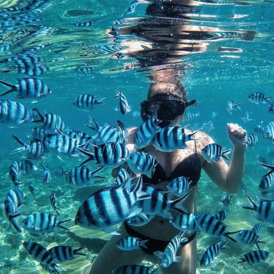 Bali/Nusa Dua: Snorkeling, Glass Boat Ride & Turtle Center - Snorkeling in Nusa Dua