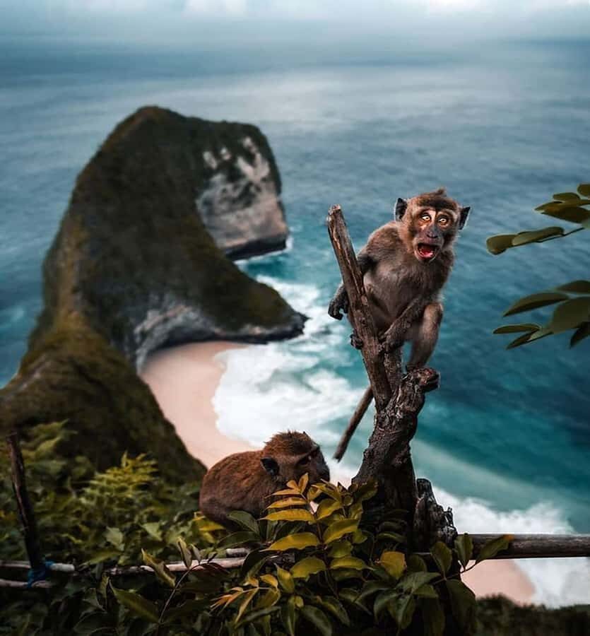 Bali/Nusa Penida: Highlight West FullDay Nature Tour & Lunch - The Experience in Practice