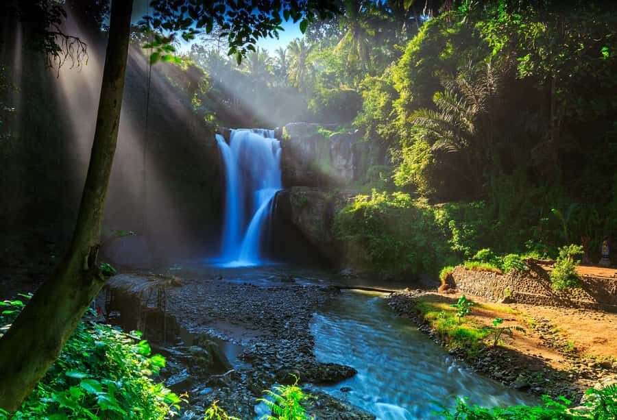 Bali: Shared or Private Highlights Ubud with Cretya Jungle - Transportation, Group Size, and Practical Details