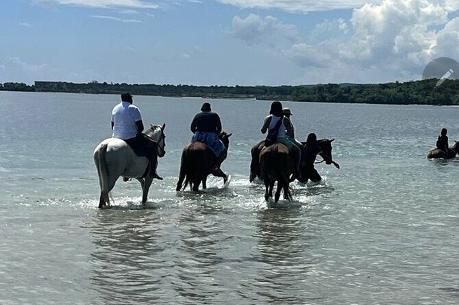 Bamboo Rafting and HorseBack Riding Excursion in OchoRios Jamaica - In-Depth Look at the Itinerary