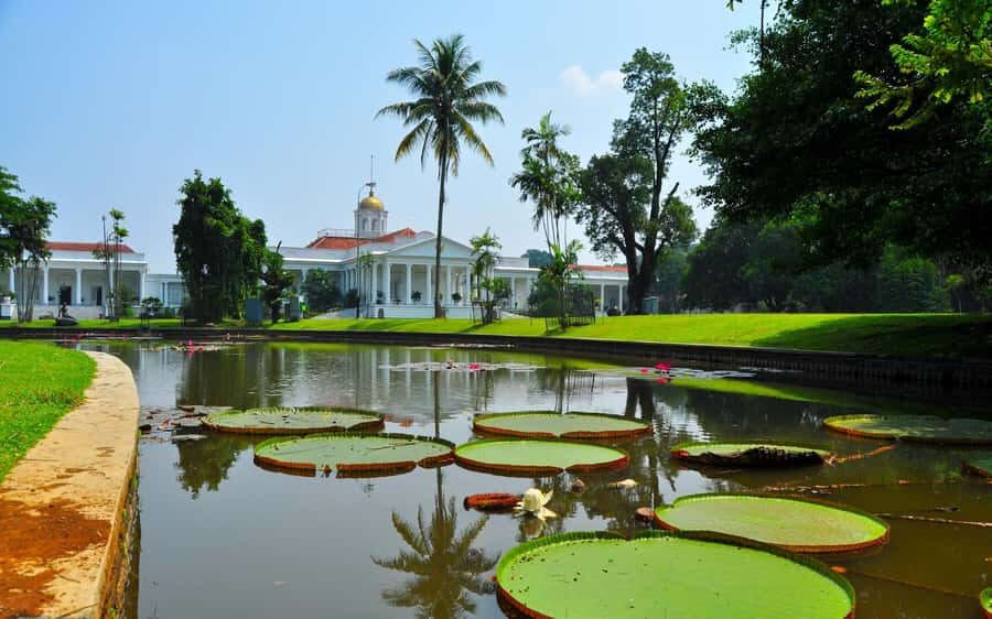 BANDUNG TO JAKARTA: Tea Plantation and Botanical Garden Tour - Exploring Bogor’s Botanical Garden