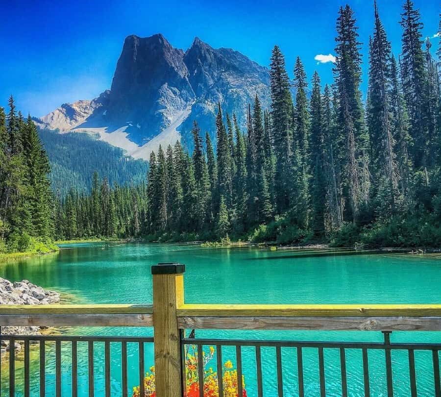 Banff/Calgary:Lake Louise,Moraine Lake,Emerald Lake Day Tour - The Guides: Knowledge and Stories Matter