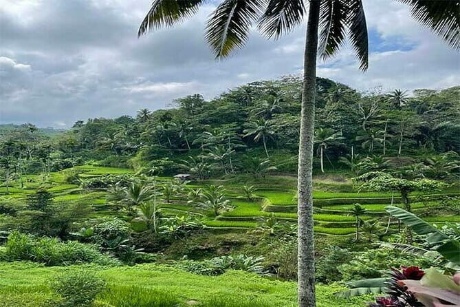 Banyumala Waterfall, Jatiluwih, Ulun Danu and Tanah Lot tours - Authentic Experiences and What You’ll Remember