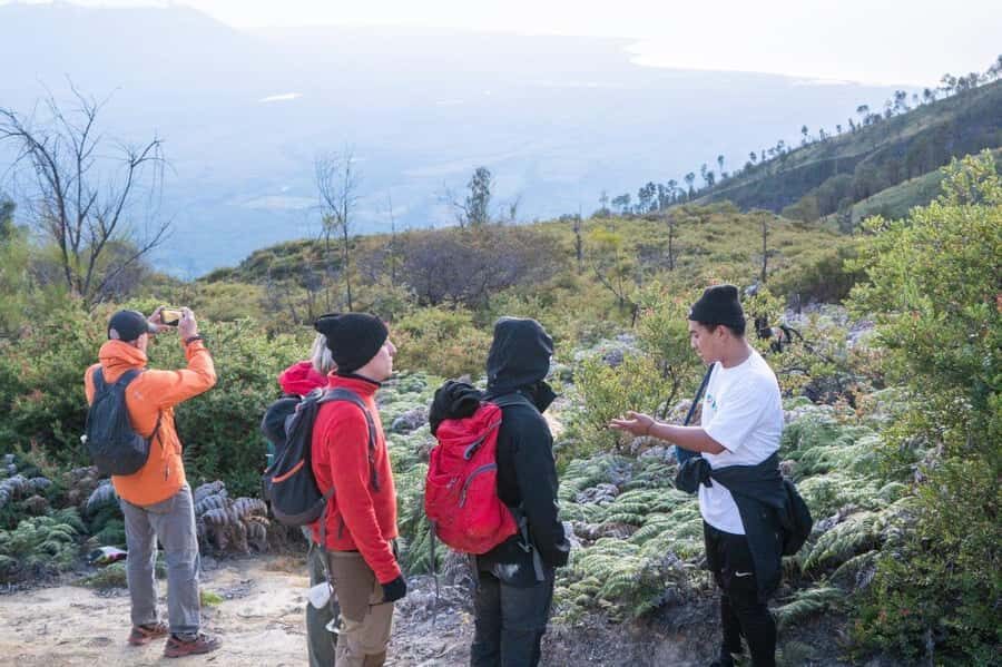 Banyuwangi/Bali: Ijen Crater Blue Fire & Sunrise Guided Tour - Transport, Timing, and Comfort
