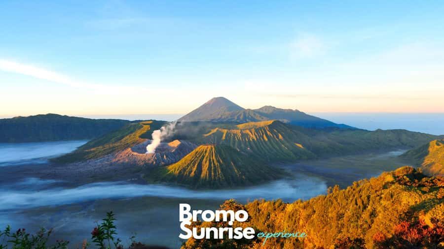 Banyuwangi: Ijen Crater and Bromo Mountain 2 Day Tour - Day 2: Bromo’s Sunrise and Scenic Wonders
