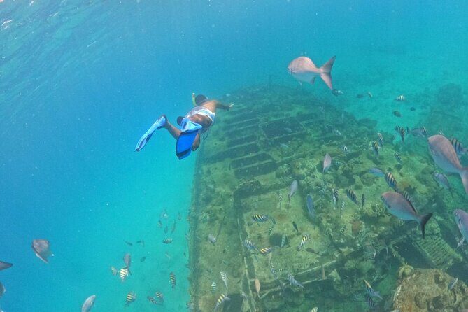 Barbados Glass Bottom Boat Cruise and Snorkeling - Why This Tour Offers Good Value