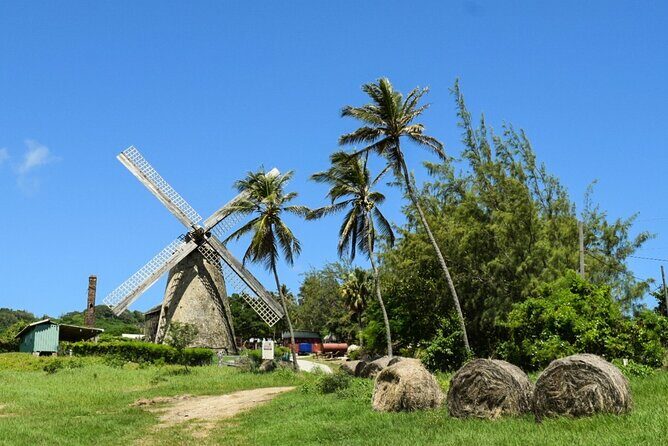 Barbados Highlights and Rum Tour - Transportation, Group Size, and Practicalities