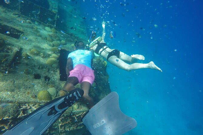 Barbados Island Tour, Monkey feeding & Swimming with the Turtles - Final Thoughts