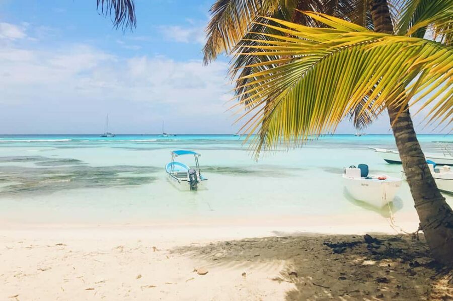 Bayahibe: Saona Island Sailing in catamaran with open bar - Analyzing the Value