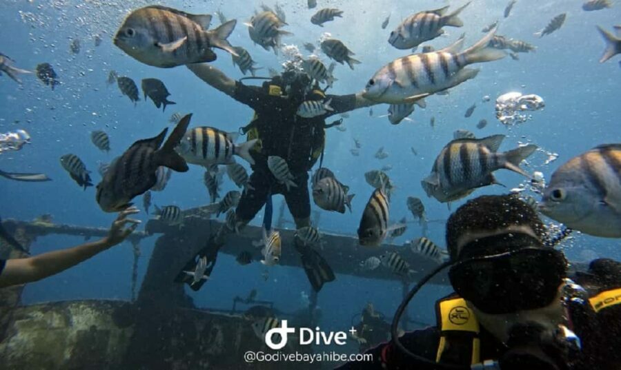 Bayahibe: Scuba Diving Initiation by Go Dive Bayahibe - The Itinerary Breakdown: What to Expect