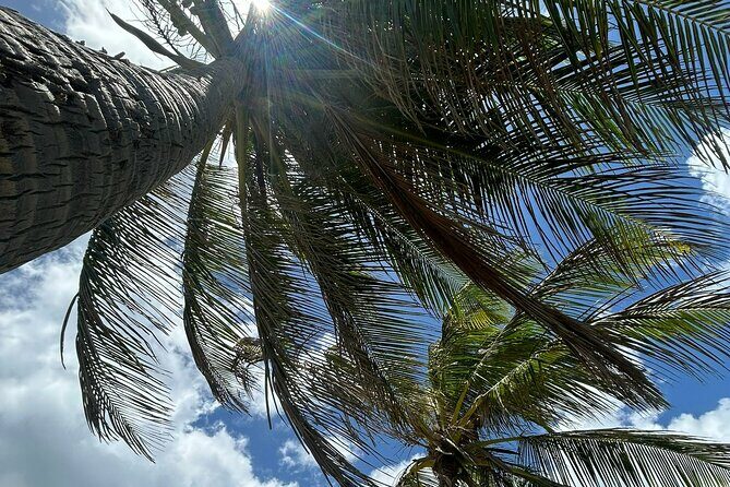 Beach Bliss Yoga in San Juan - What to Expect and How It’s Organized