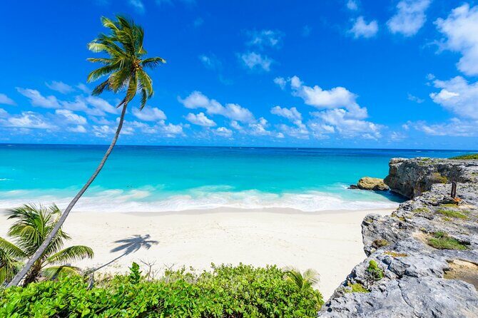 Beautiful Coastal Sightseeing Tour of Barbados - What Could Be Considered