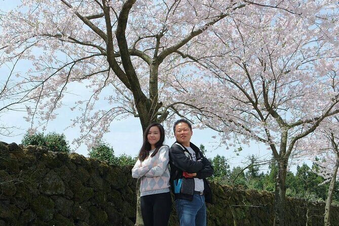 Beautiful Jeju Island Private UNESCO day Tour - What Do Travelers Say?