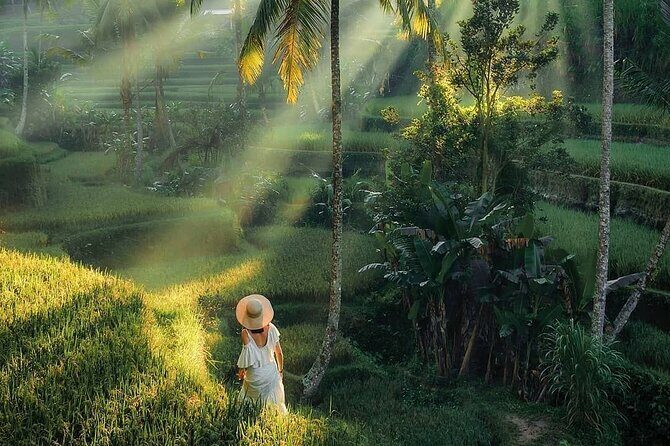 Benoa port Shore Excursion private South Bali Nature Tour - Authenticity and Real Traveler Praise