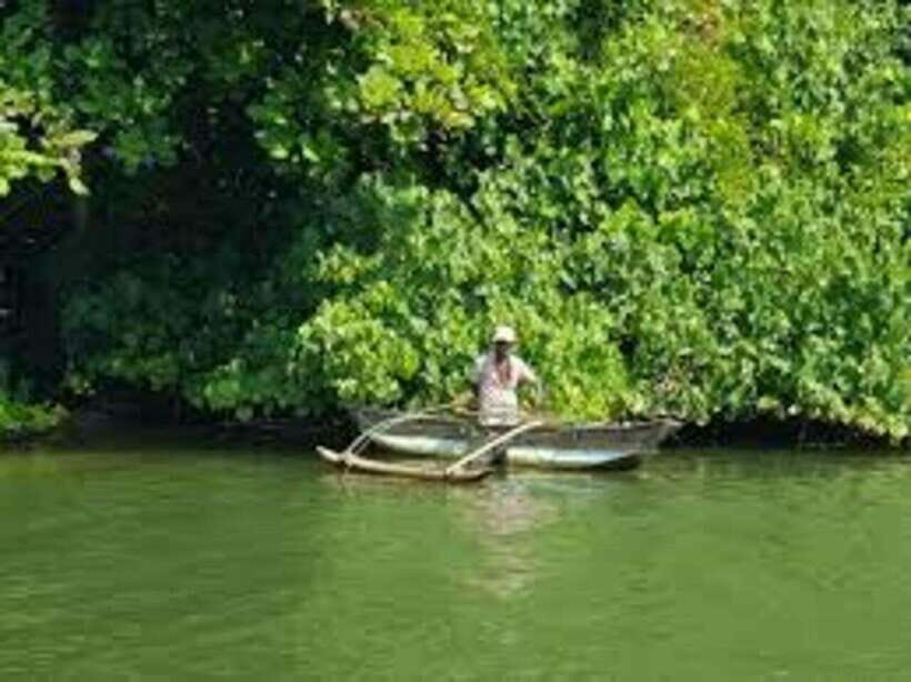 Bentota: River Safari with Hotel Pickup and Drop-Off - Practical Details and What to Prepare