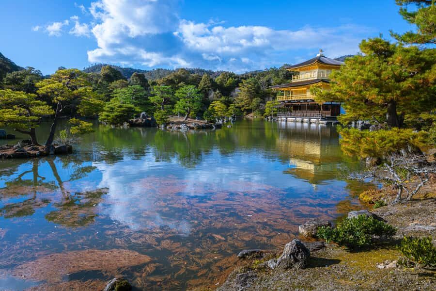 Best of Kyoto: the Bamboo Forest & Golden Temple E-Bike Tour - Is This Tour Worth the Price?