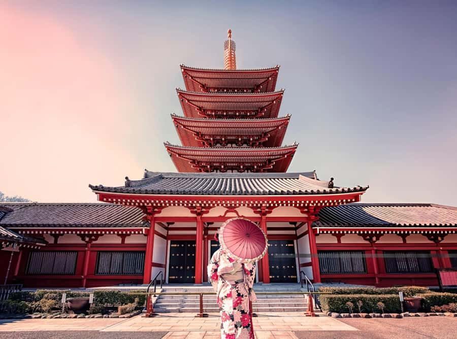 Best of Tokyo: Guided Half Day City Tour with a local - The Practicalities: What’s Included and What to Know