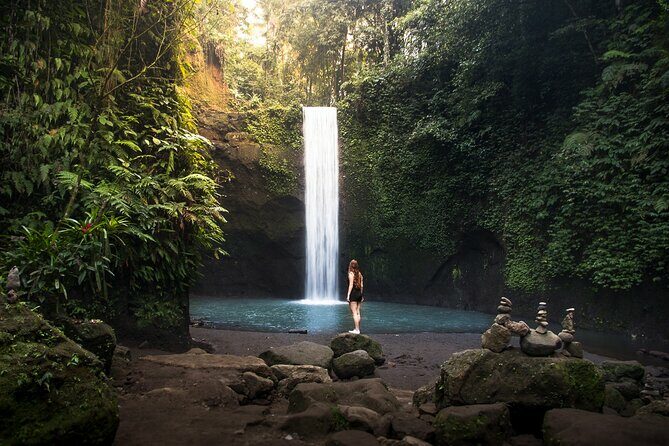 Best of Ubud: Waterfalls, Temple & Rice Terraces Private Day Tour - What’s Included and What’s Not