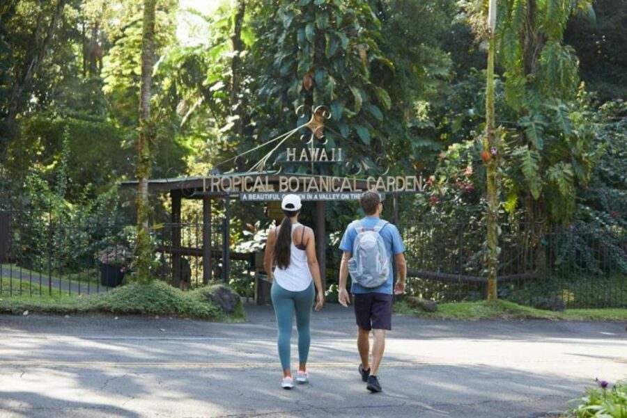 Big Island: Waterfall Tour with Swimming & Botanical Garden - Why This Tour Offers Good Value