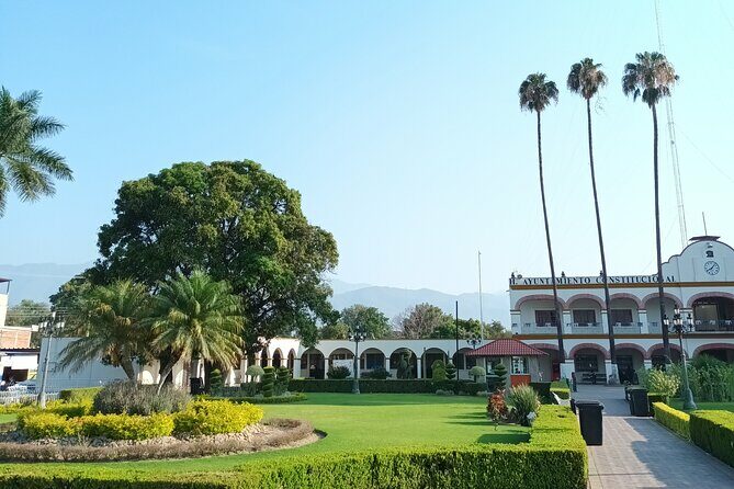 Bike tour to the Tule Tree and the Gastronomic Market - The Market: A Taste of Oaxaca’s Flavors