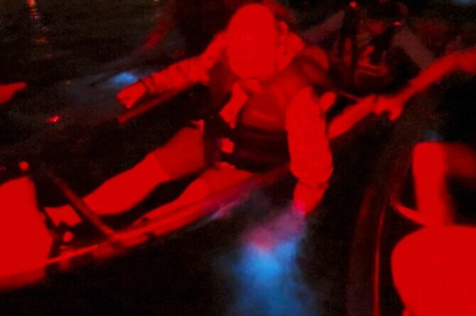 Biobay Vieques Tour Kayak Night Tour - Who Will Love This Tour?