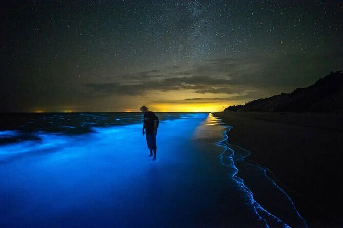 Bioluminescent Bay Adventure in Grand Cayman - What You Get for Your Money