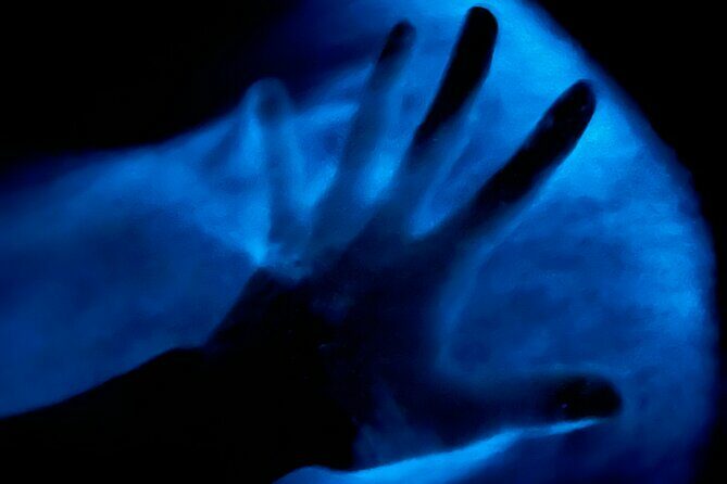 Bioluminescent Kayak Tour in Floridas Indian River Lagoon - An In-Depth Look at the Tour Experience