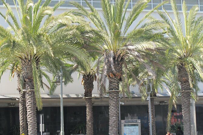 Black History Tour of South LA and Crenshaw - Exploring the Itinerary in Detail