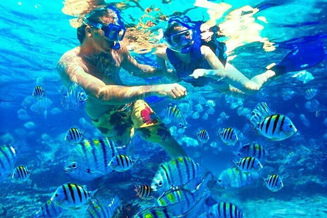 Blue Lagoon Snorkeling with Lunch and Waterfall in Ubud - The Value and Practical Considerations