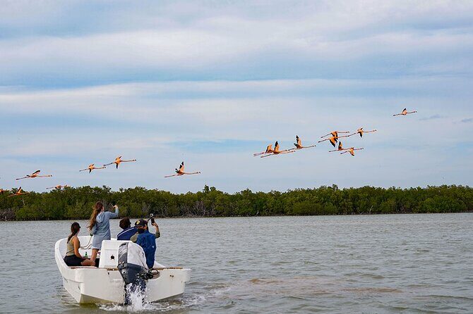 Boat tour in Río Lagartos Natural Reserve, with Food - FAQs