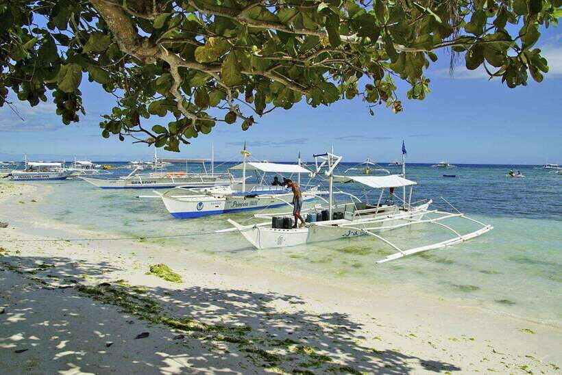 Bohol Balicasag Is Private Tour and Dolphin Watching - An Overview of the Experience
