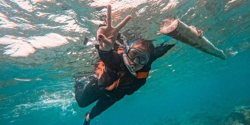 Bohol: Dolphin Watching & Balicasag Island Hopping Tour - Practical Details and Logistics