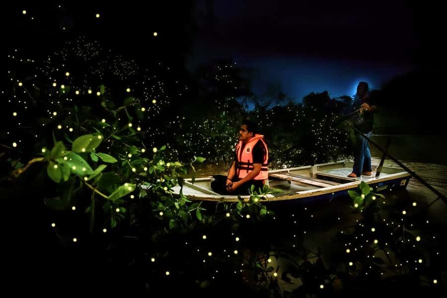 Bohol: Firefly Experience with Pickup - Final Thoughts