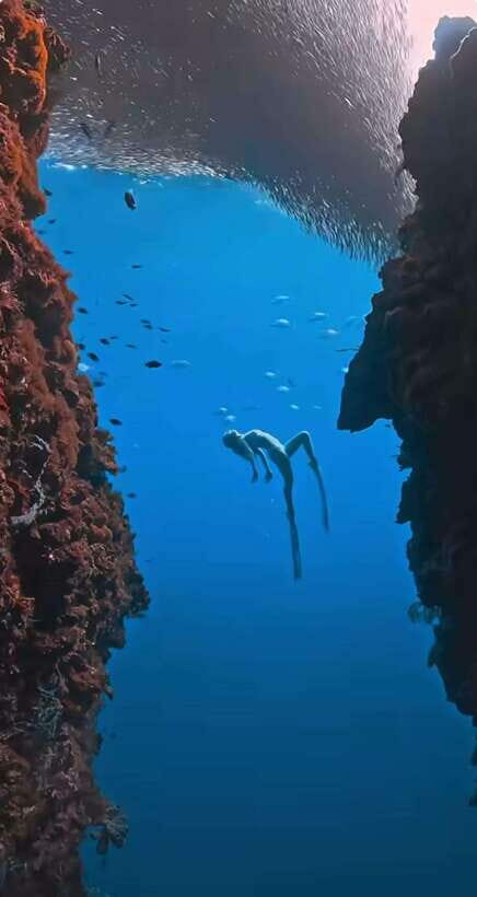 Bohol: Private Sardine Snorkel & Tropical Fish Tour - Why This Tour Is a Good Value