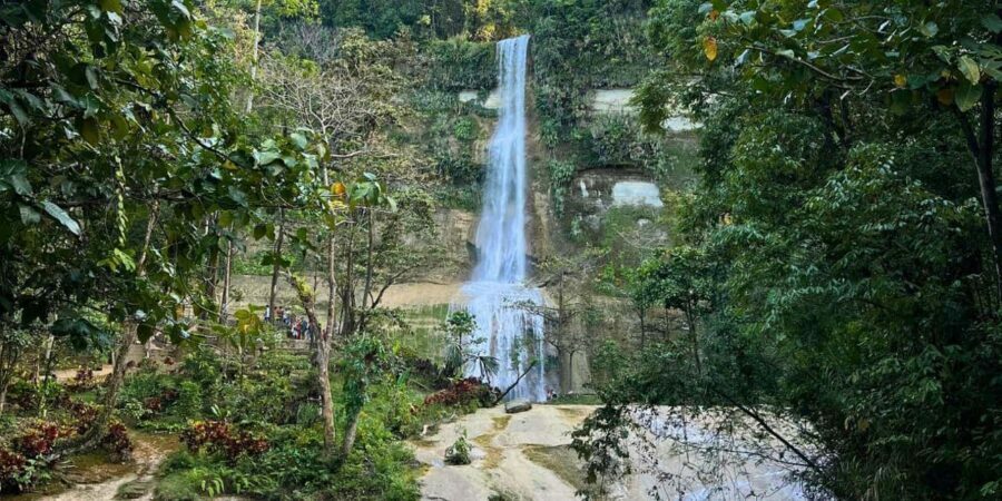 Bohol Private Tour Anda, Candijay & Alicia Panoramic Park - Transportation and Comfort