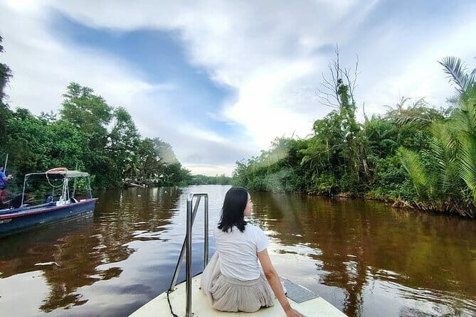 Bongawan River Cruise Proboscis Monkey, SkyMirror, Fireflies - What Makes This Experience Stand Out?