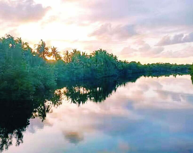 Bongawan Wetland: Proboscis Monkey and Fireflies Shared Tour - The Sunset and Firefly Experience