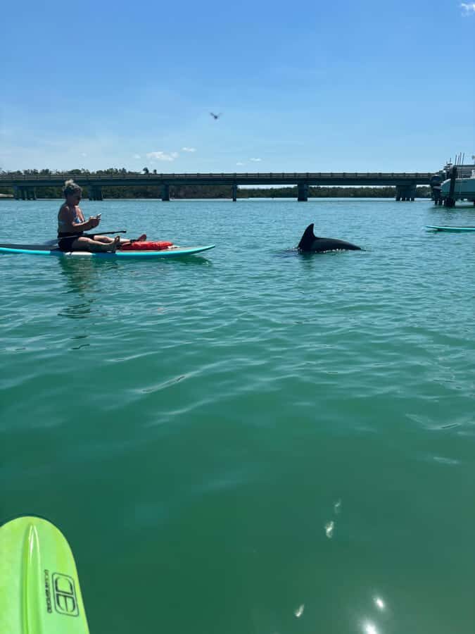 Bonita Springs Dolphin, Manatee & Sea Turtle Adventure Tour! - The Guide and the Experience