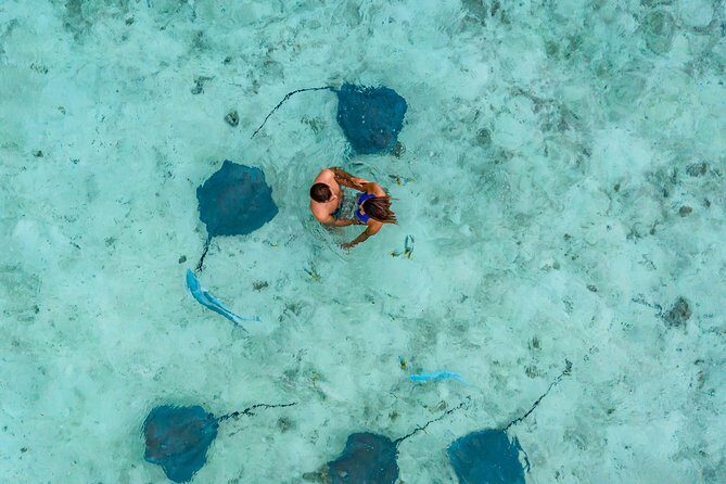 Bora Bora Eco Snorkel Cruise Including Snorkeling with Sharks and Stingrays - Detailed Breakdown of the Itinerary
