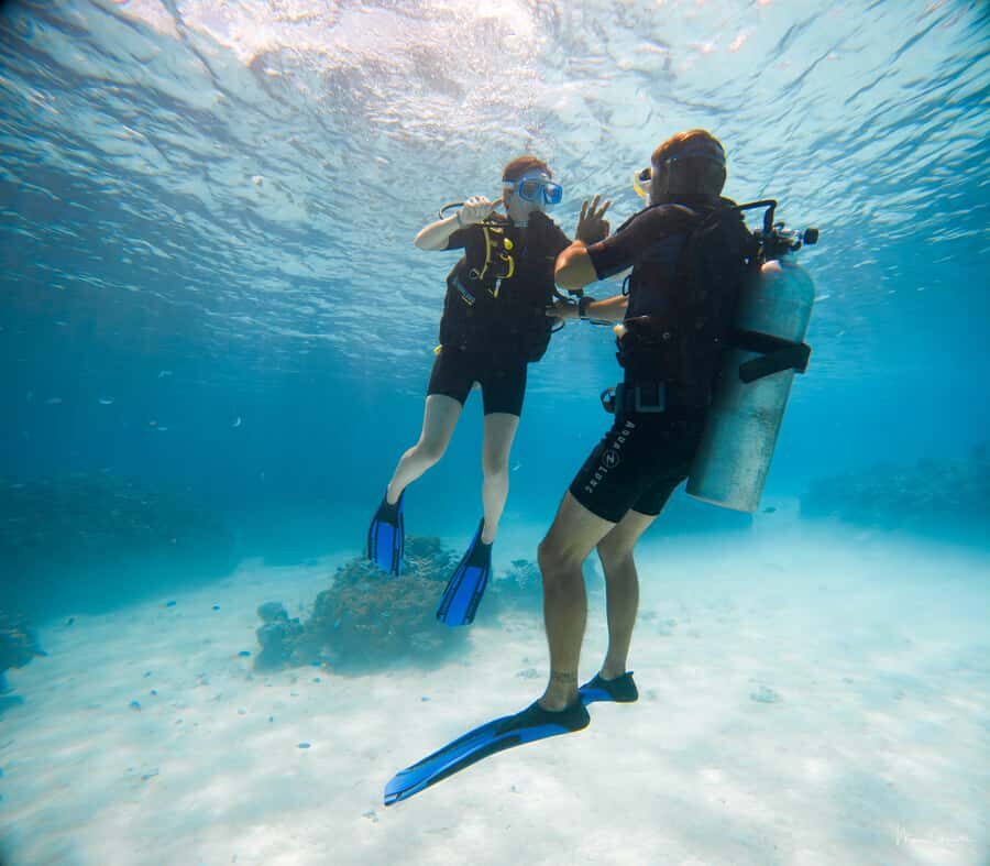Bora Bora: Introductory Dive - The Review from Participants