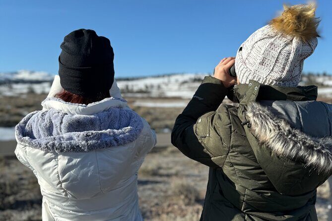 Bozeman Winter Wildlife Safari, Lamar Valley, Burrito and Lunch - What Sets This Tour Apart