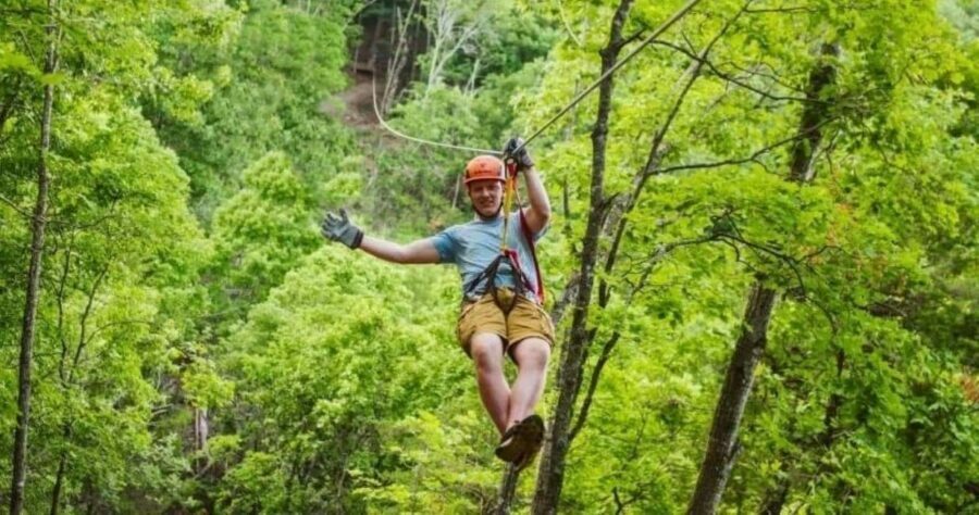 Branson: Zipline Canopy Tour - Who Should Consider This Tour?