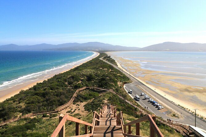 Bruny Island Small-Group Guided Tour From Hobart - Who Should Consider This Tour?