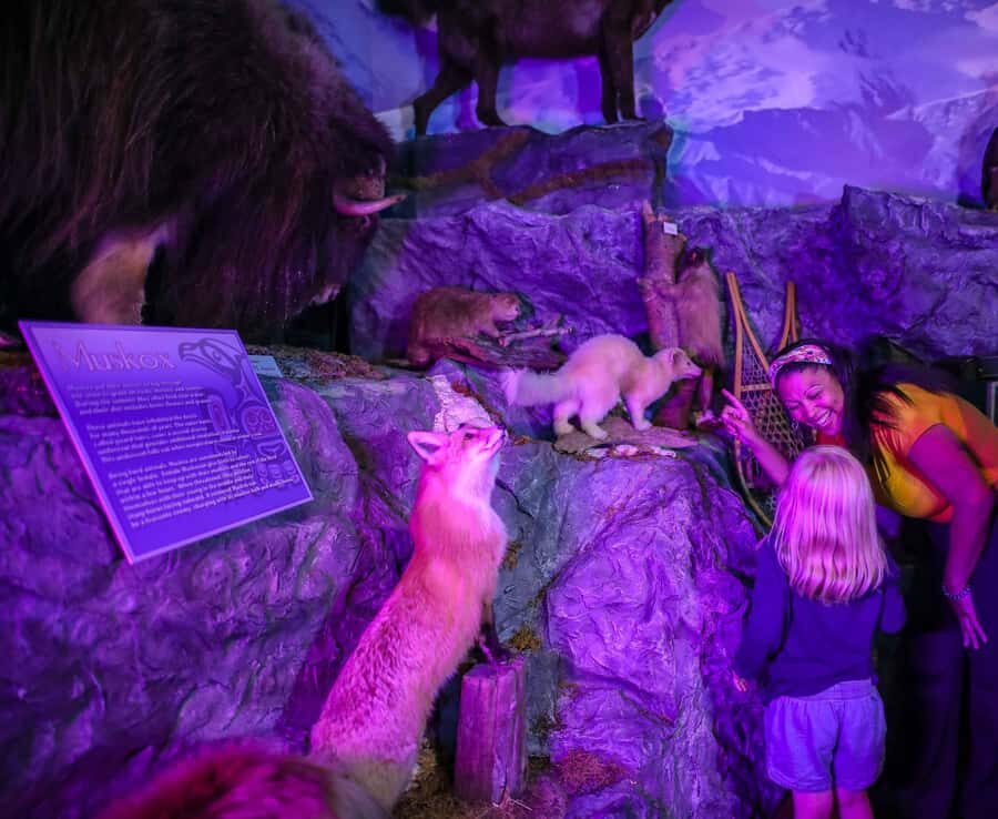 Buckhorn Saloon & Museum / Texas Ranger Museum Entry Ticket - The Experience: Pros and Cons