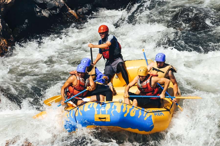Buena Vista: Browns Canyon Half-Day Whitewater Rafting Trip - What to Expect: A Step-by-Step Breakdown